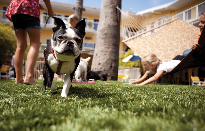 Imagen de los exteriores del Hotel Del Sol, Marina District. Foto 9