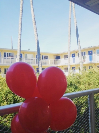 Imagen general del Hotel Del Sol, Marina District. Foto 3