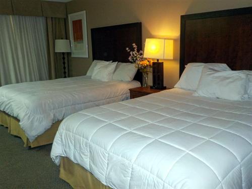 Imagen de la habitación del Hotel Del Sol, Pensacola . Foto 5