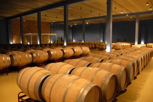 Imagen general del Hotel Del Vino. Foto 5