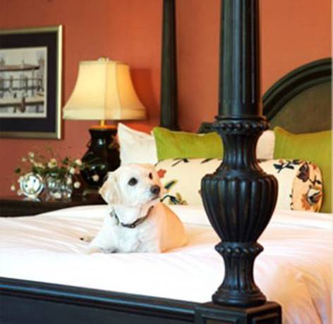 Imagen de la habitación del Hotel Delamar Southport. Foto 13