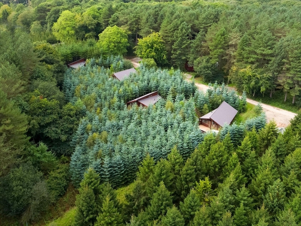 Imagen general del Hotel Delamere Forest - Forest Holidays. Foto 3