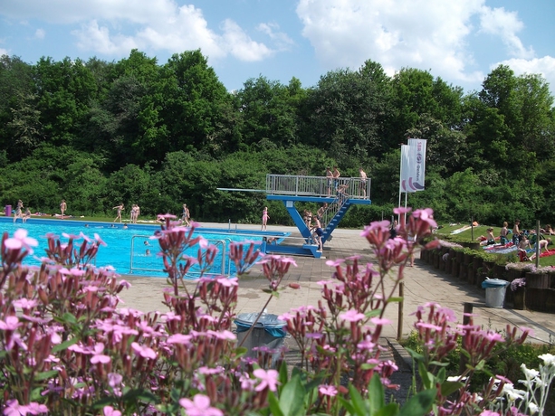 Imagen de la piscina del Hotel Delden. Foto 18