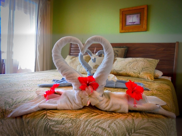 Imagen de la habitación del Hotel Delfin Playa Bejuco. Foto 4