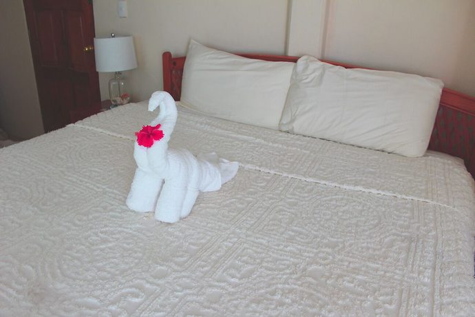 Imagen de la habitación del Hotel Delfin, Playa del Carmen. Foto 9