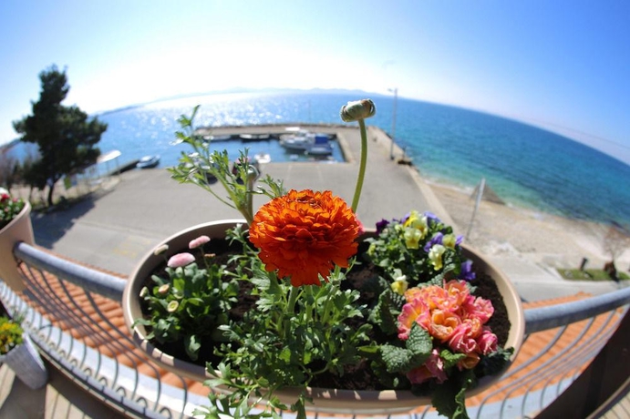 Imagen general del Hotel Delfin, Zadar. Foto 10