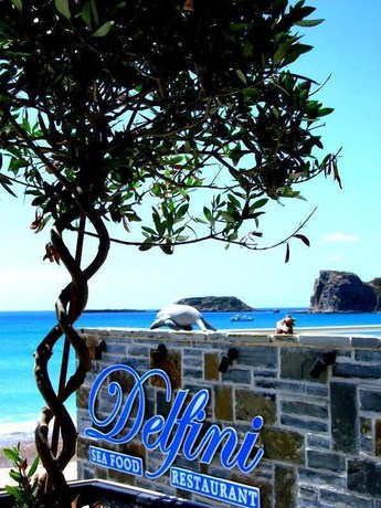 Imagen del bar/restaurante del Hotel Delfini Beach. Foto 3