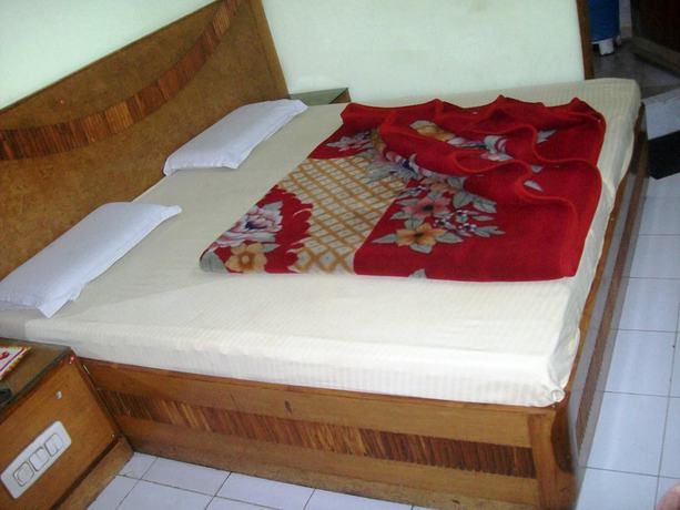 Imagen de la habitación del Hotel Delhi Regency. Foto 4