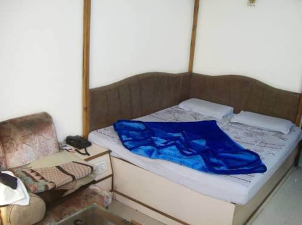 Imagen de la habitación del Hotel Delhi Regency. Foto 7