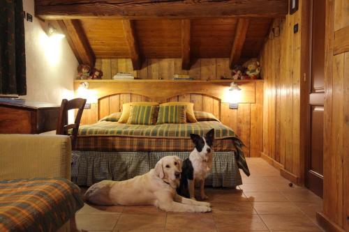 Imagen de la habitación del Hotel Della Nouva. Foto 10