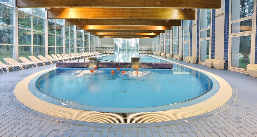 Imagen de la piscina del Hotel Delle Rose Terme and Wellnes Spa. Foto 10