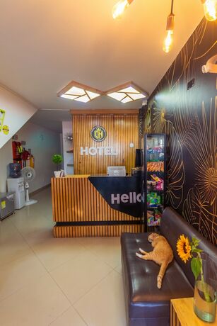 Imagen general del Hotel Dellhar Americano By Del Toro. Foto 6