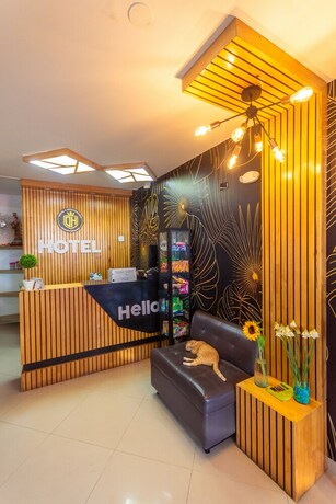 Imagen general del Hotel Dellhar Americano By Del Toro. Foto 10