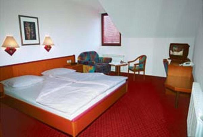 Imagen de la habitación del Hotel Delminium. Foto 9