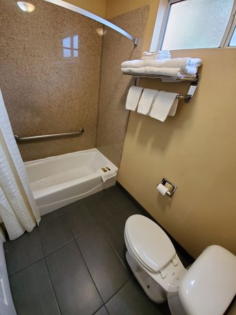 Imagen de la habitación del Hotel Delmonico Inn and Suites. Foto 8