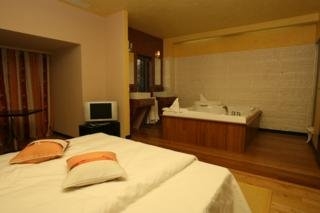 Imagen de la habitación del Hotel Delpack. Foto 6