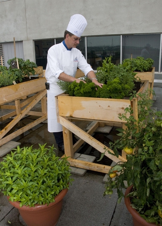 Imagen de los exteriores del Hotel Delta Beausejour. Foto 11