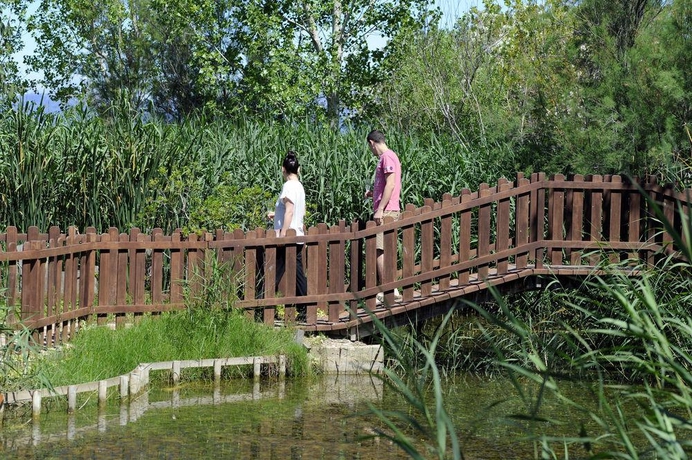 Imagen general del Hotel Delta, Deltebre. Foto 4