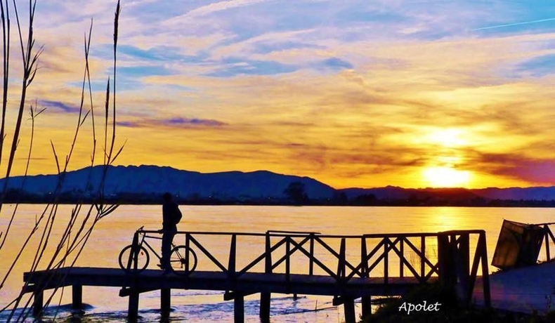 Imagen general del Hotel Delta, Deltebre. Foto 5