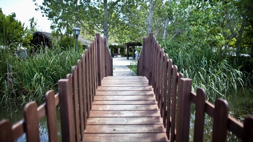 Imagen general del Hotel Delta, Deltebre. Foto 8