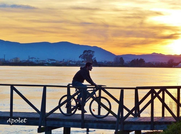 Imagen general del Hotel Delta, Deltebre. Foto 9