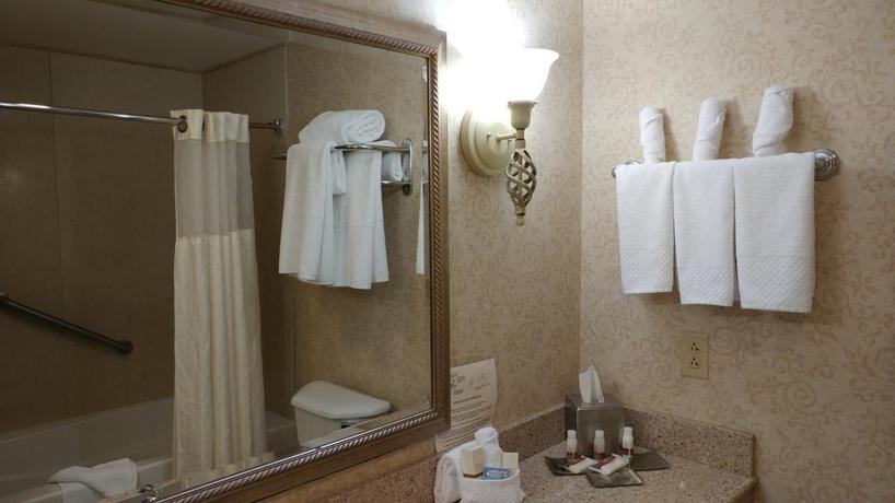 Imagen de la habitación del Hotel Delta Hotels By Marriott Burlington. Foto 7