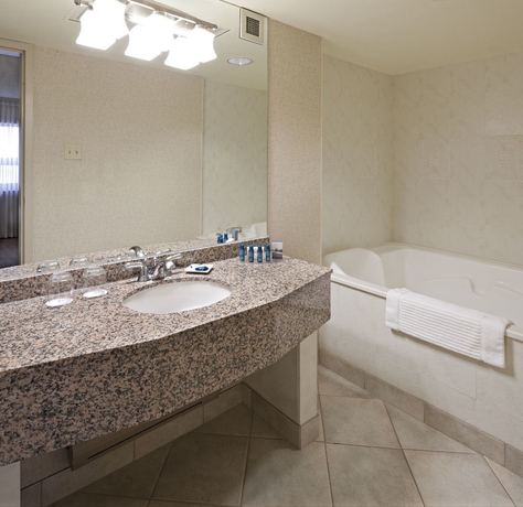 Imagen de la habitación del Hotel Delta Hotels By Marriott Calgary Airport In-terminal. Foto 6