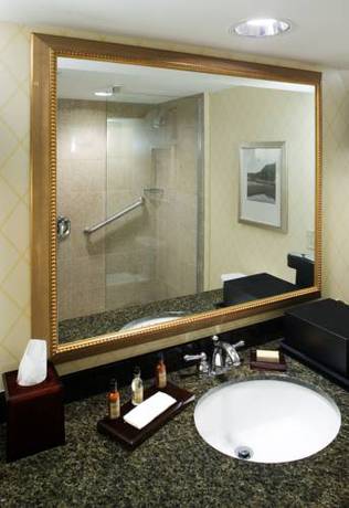 Imagen de la habitación del Hotel Delta Hotels By Marriott Chesapeake Norfolk. Foto 4