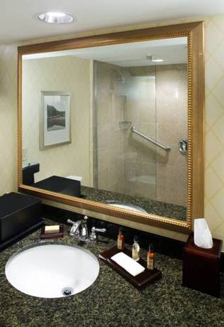 Imagen de la habitación del Hotel Delta Hotels By Marriott Chesapeake Norfolk. Foto 10