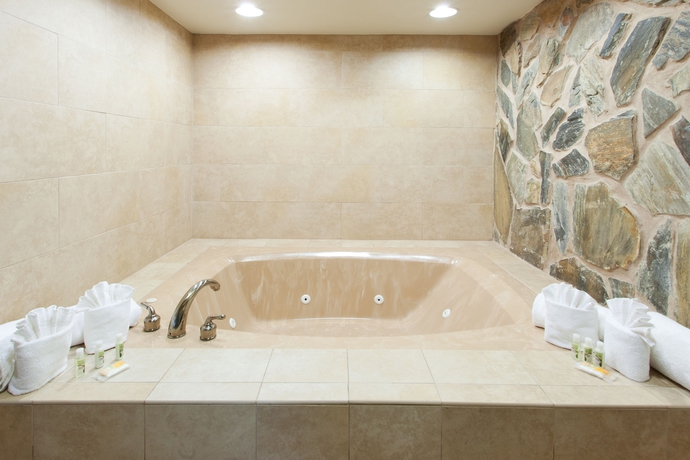 Imagen de la habitación del Hotel Delta Hotels By Marriott Columbia Northeast. Foto 6