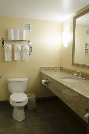 Imagen de la habitación del Hotel Delta Hotels By Marriott Kalamazoo Conference Center. Foto 4