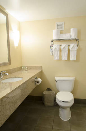 Imagen de la habitación del Hotel Delta Hotels By Marriott Kalamazoo Conference Center. Foto 8