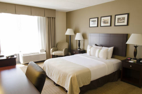 Imagen de la habitación del Hotel Delta Hotels By Marriott Kalamazoo Conference Center. Foto 11