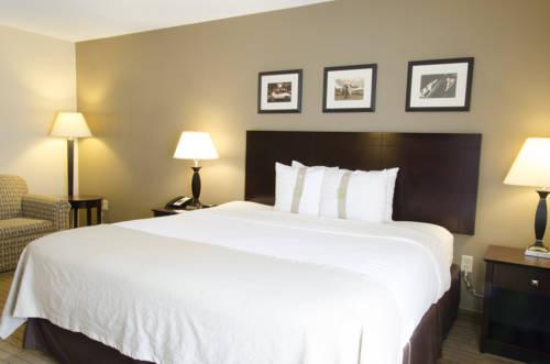 Imagen de la habitación del Hotel Delta Hotels By Marriott Kalamazoo Conference Center. Foto 13
