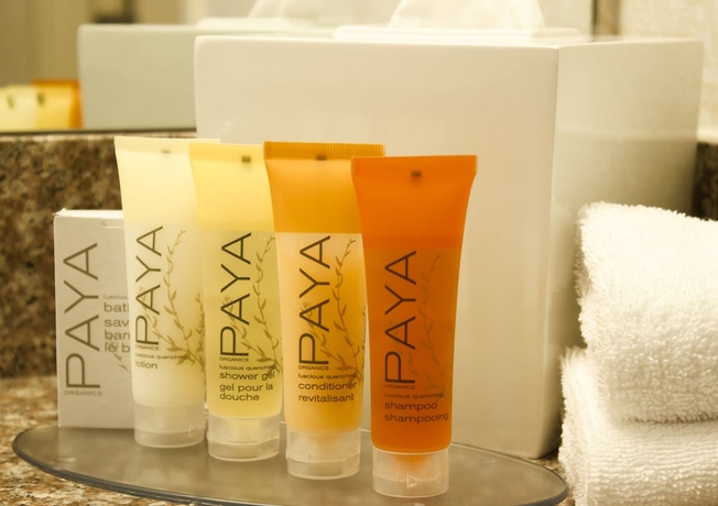 Imagen de la habitación del Hotel Delta Hotels By Marriott Santa Clara. Foto 11