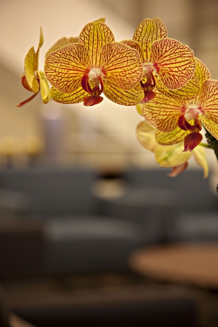 Imagen de los interiores del Hotel Delta Hotels By Marriott Winnipeg. Foto 15