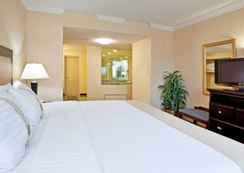 Imagen de la habitación del Hotel Delta Hotels by Marriott Detroit Novi. Foto 3