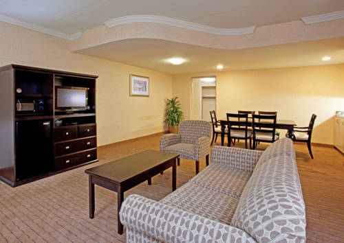 Imagen de la habitación del Hotel Delta Hotels by Marriott Detroit Novi. Foto 4