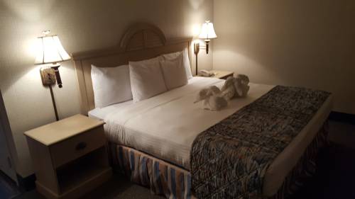 Imagen de la habitación del Hotel Delta Hotels by Marriott Virginia Beach Waterfront. Foto 5