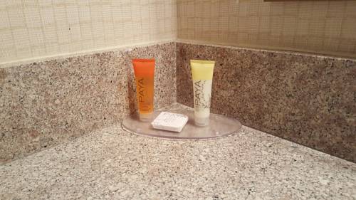 Imagen de la habitación del Hotel Delta Hotels by Marriott Virginia Beach Waterfront. Foto 15