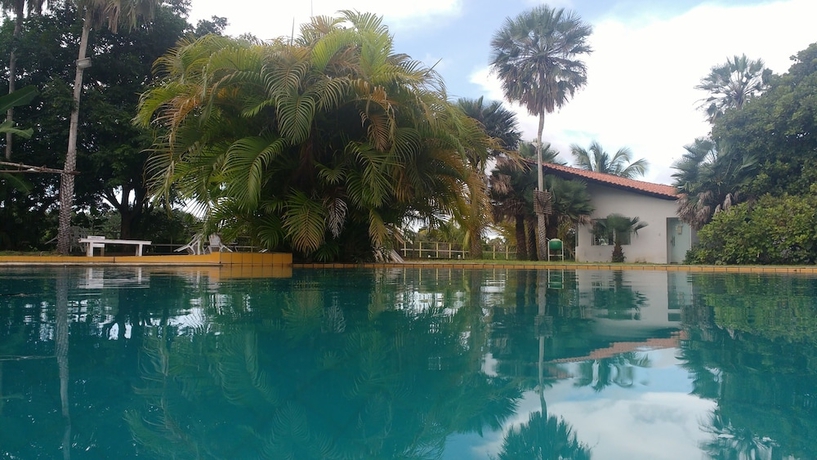 Imagen de la piscina del Hotel Delta Park. Foto 16