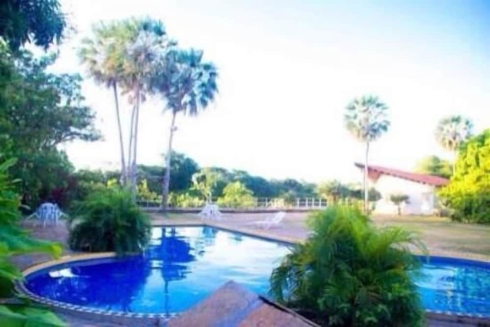 Imagen de la piscina del Hotel Delta Park. Foto 18