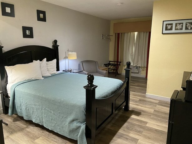 Imagen de la habitación del Hotel Delux Inn Clearwater. Foto 19