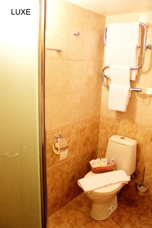 Imagen de la habitación del Hotel Deluxe, Admiralteysky. Foto 7