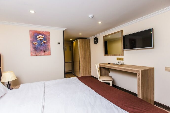 Imagen de la habitación del Hotel Deluxe City, Baku. Foto 18