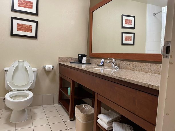 Imagen de la habitación del Hotel Deluxe Inn, Plano. Foto 8