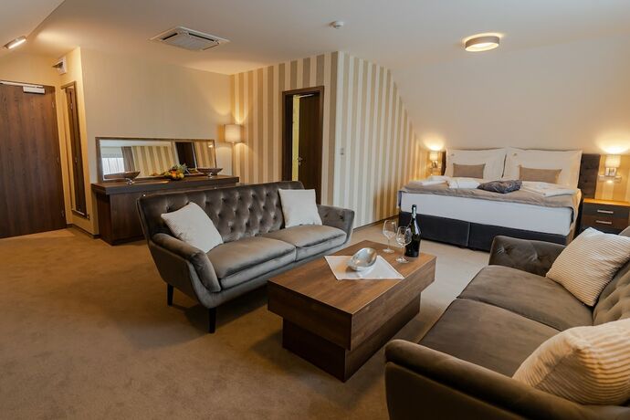 Imagen de la habitación del Hotel Demänová. Foto 15