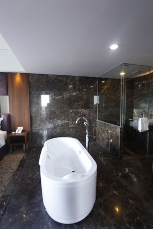Imagen de los interiores del Hotel Demelia. Foto 15