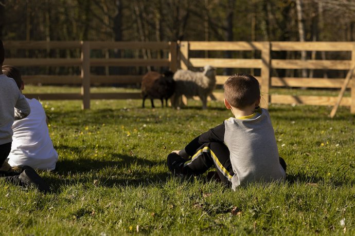 Imagen de la habitación del Hotel Demeures De Campagne Parc Du Coudray – Mercure. Foto 17