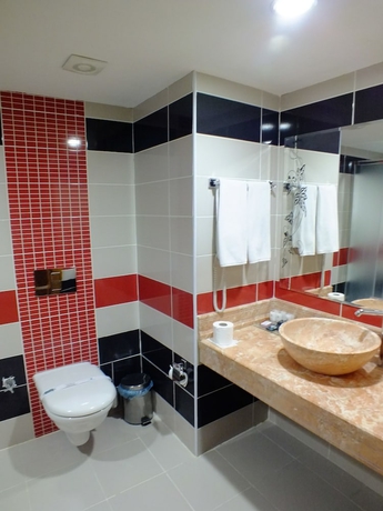 Imagen de la habitación del Hotel Demosan Otel and Spa. Foto 16